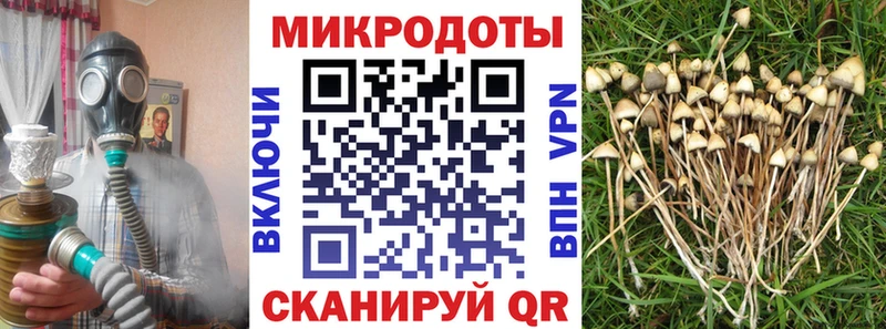 Галлюциногенные грибы Psilocybine cubensis  блэк спрут зеркало  Нариманов  хочу наркоту 